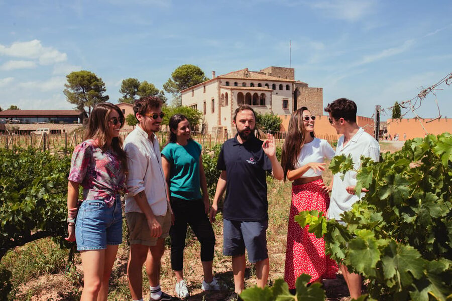 Barcelona: Montserrat with Winery, Lunch, and Train Options - Your free time on the mountain: viewpoints, the museum, and small comforts