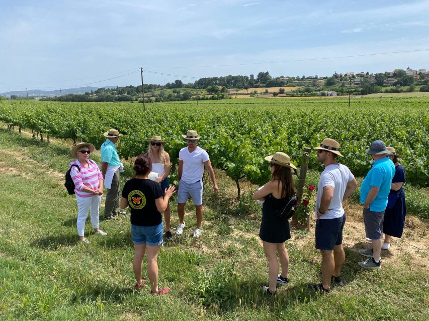 Barcelona: Montserrat with Winery Visit and Farmhouse Lunch - Pares Balta Winery: Organic Cava, Underground Cellars, and Tastings