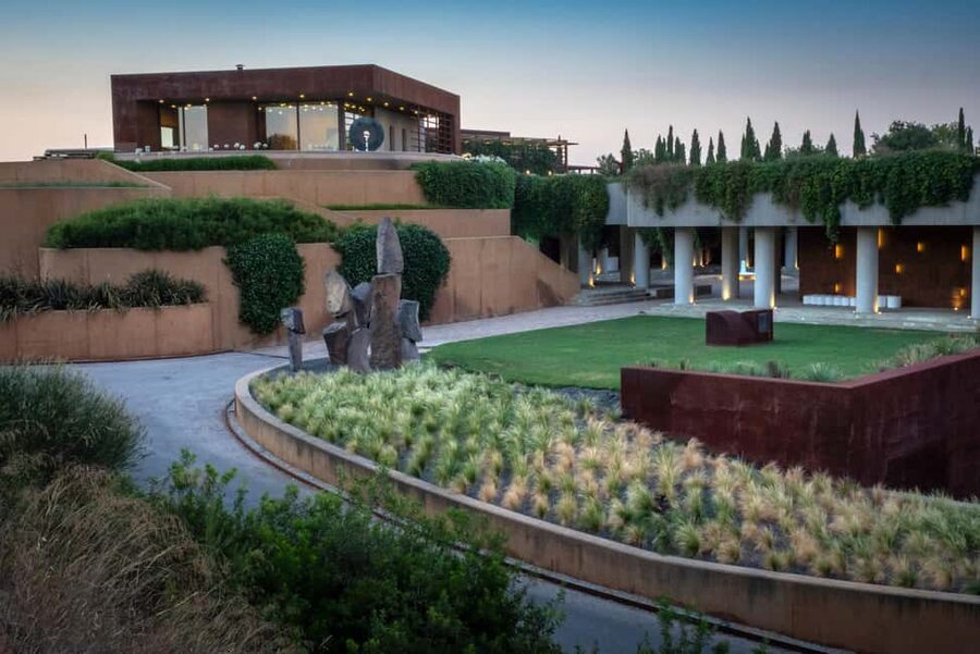 Barcelona-Penedès: Familia Torres wine & tapas winery tour - Mas La Plana Vineyard Walk: where the Penedès story becomes real