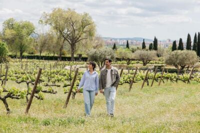 Barcelona-Penedès: Familia Torres wine & tapas winery tour - Waltraud Winery and the Solar-Electric Train Ride