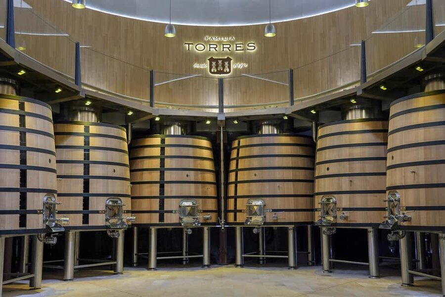 Barcelona-Penedès: Familia Torres wine & tapas winery tour - Four Wines and Four Tapas Pairings: how the tasting is actually useful