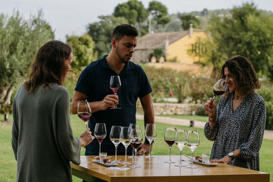 Barcelona-Penedès: Familia Torres wine & tapas winery tour - Price and value: is $44 a good deal for this experience?