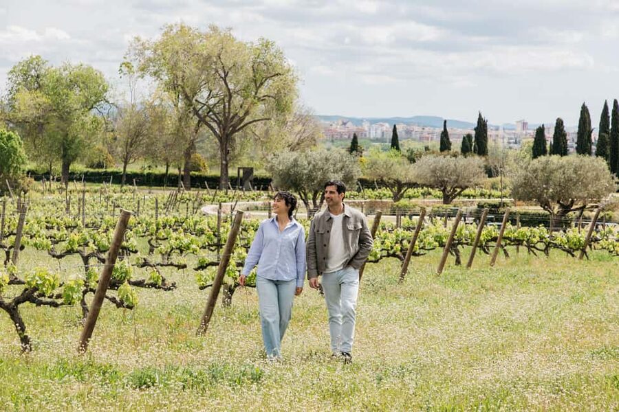 Barcelona-Penedès: Familia Torres wine & tapas winery tour - Waltraud Winery and the Solar-Electric Train Ride