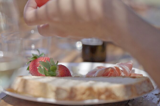 Barcelona Sailing Adventure and Small Group Winery Tasting Tour - A Half-Day Mix of Sea Air and Alella Wine Country