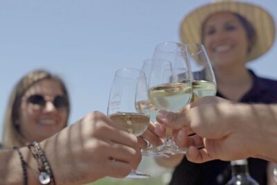 Barcelona Sailing Adventure and Small Group Winery Tasting Tour - Port Olimpic Start: The Sailing Part That Makes the Day Feel Different