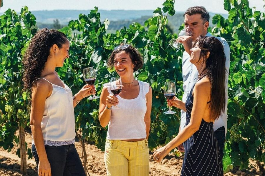 Barcelona: Sailing and Alella Winery Tour with Wine Tasting - Key highlights at a glance
