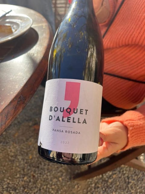Barcelona: Sailing and Alella Winery Tour with Wine Tasting - Why this Alella wine day starts with a sail