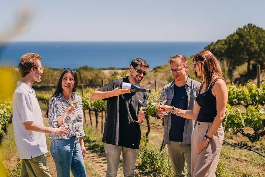 Barcelona: Sailing Cruise & Vineyard Tour with Wine Tasting - Key highlights to know before you go