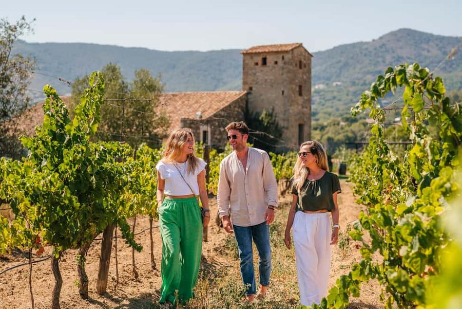Barcelona: Sailing Cruise & Vineyard Tour with Wine Tasting - Alella harbor to the winery: short transfer, big change of scenery