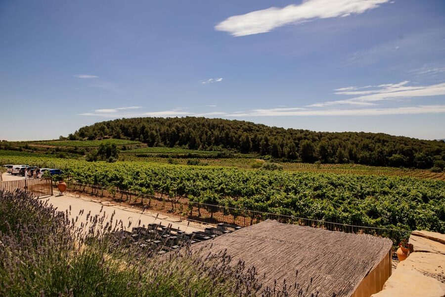 Barcelona: Vineyard Horseback Riding & Wine Tasting + Tapas - Guides make or break the day: language support and the human touch