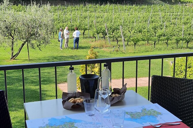 Bardolino: vineyard tour, wine, oil and food tasting - Key highlights you should know