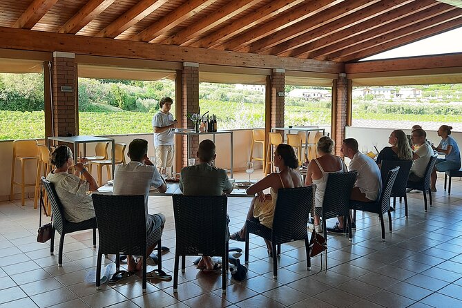 Bardolino: vineyard tour, wine, oil and food tasting - Bardolino above Lake Garda: the setting that makes the tasting work