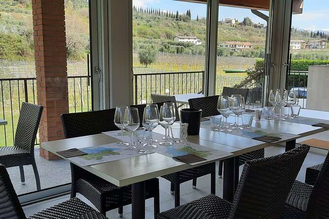 Bardolino: vineyard tour, wine, oil and food tasting - Terrace tasting: olive oil plus five wines in a smart order