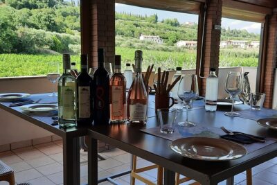 Bardolino: vineyard tour, wine, oil and food tasting - The vineyard walk: seeing the grapes before you taste them