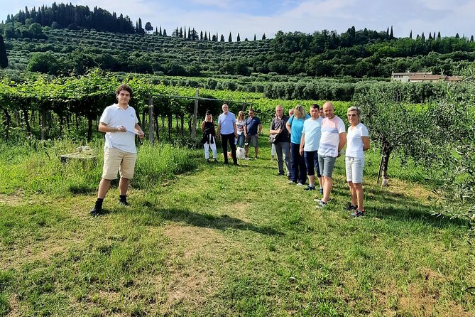 Bardolino: vineyard tour, wine, oil and food tasting - Why the grape story matters (even if you don’t care about homework)