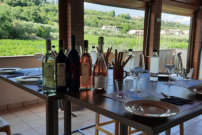 Bardolino: vineyard tour, wine, oil and food tasting - The vineyard walk: seeing the grapes before you taste them