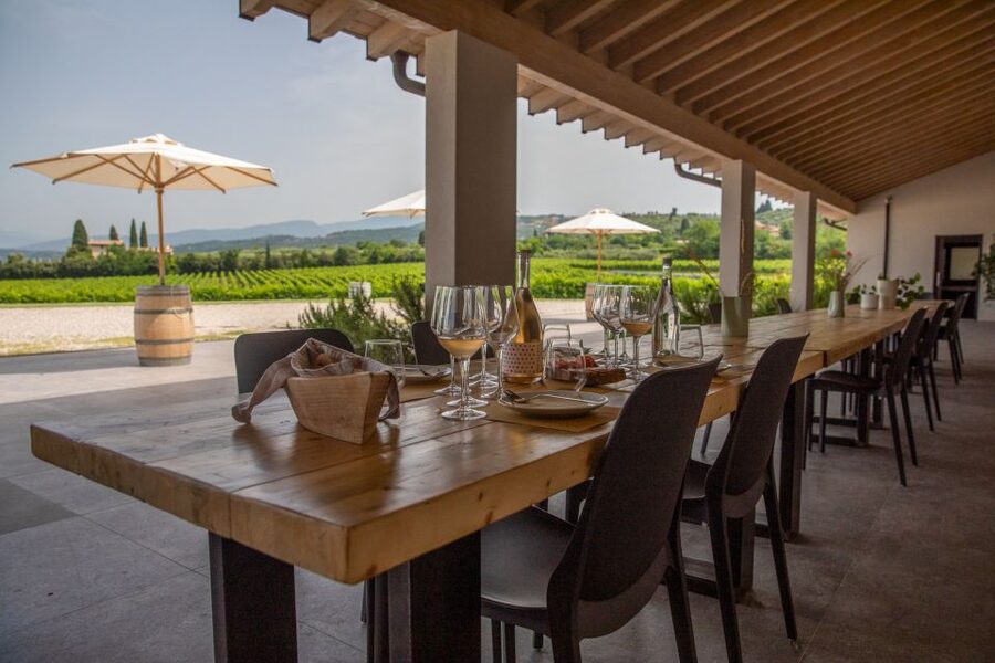 Bardolino: Vineyard Tour with Wine and Food Tasting - Should you book this Bardolino vineyard tour?