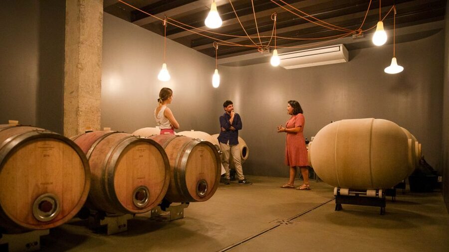 Bardolino: Vineyard Tour with Wine and Food Tasting - Logistics that can make or break your day