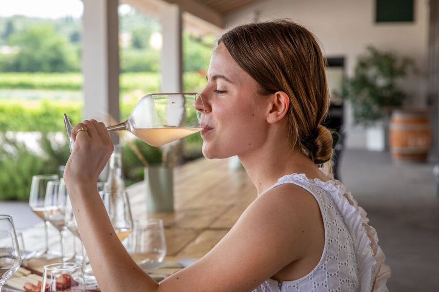 Bardolino: Vineyard Tour with Wine and Food Tasting - Who this Bardolino tour suits best (and who should skip)