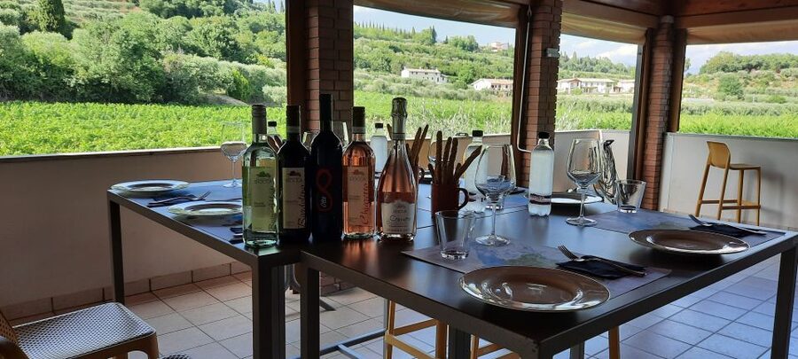 Bardolino: Vineyard Tour with Wine, Olive Oil & Food Tasting - Entering the world of Bardolino from a hilltop winery