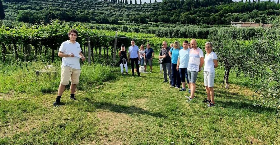 Bardolino: Vineyard Tour with Wine, Olive Oil & Food Tasting - The terrace tasting: olive oil first, then the wine flight