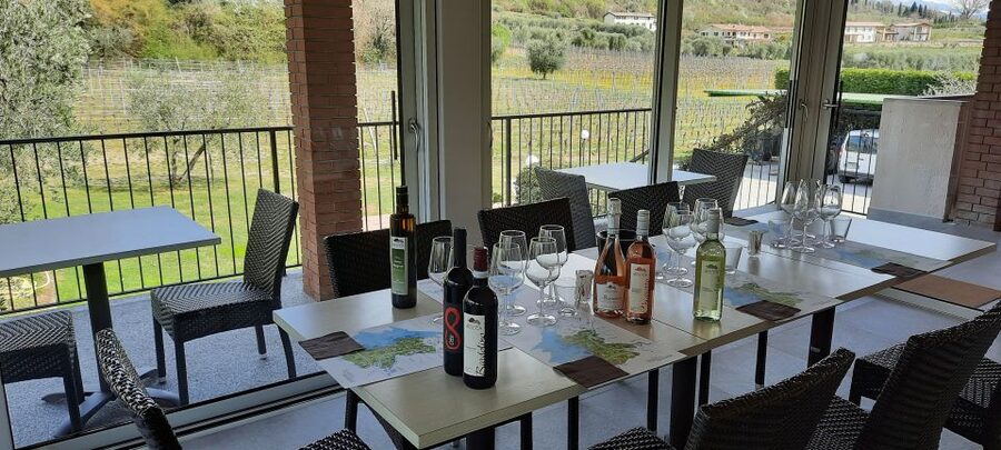 Bardolino: Vineyard Tour with Wine, Olive Oil & Food Tasting - What’s in your tasting lineup (and why these picks make sense)