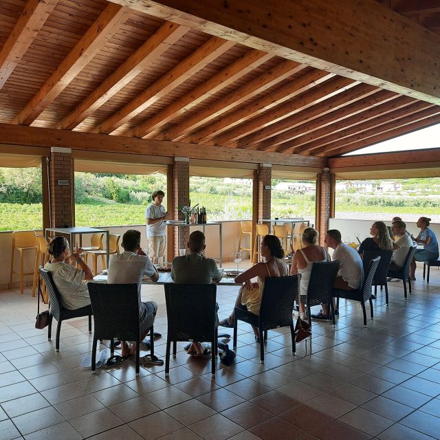 Bardolino: Vineyard Tour with Wine, Olive Oil & Food Tasting - The vineyard walk: where Bardolino grapes start their work