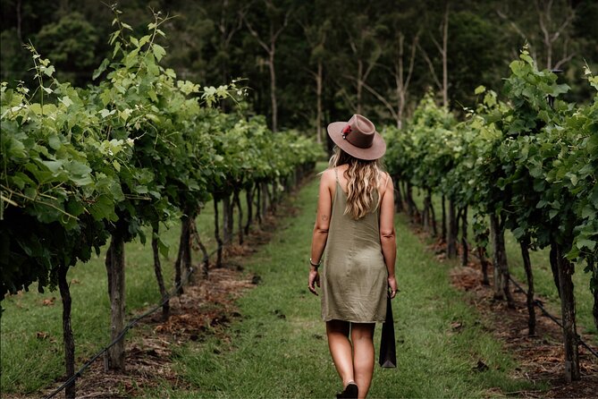 Barefoot Luxury Mount Tamborine Winery Tour from Brisbane - Key things to know before you go