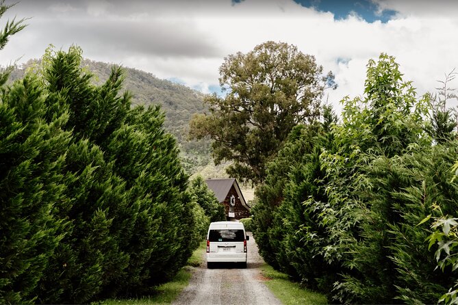 Barefoot Luxury Mount Tamborine Winery Tour from Brisbane - A full-day Mount Tamborine tasting route built for convenience
