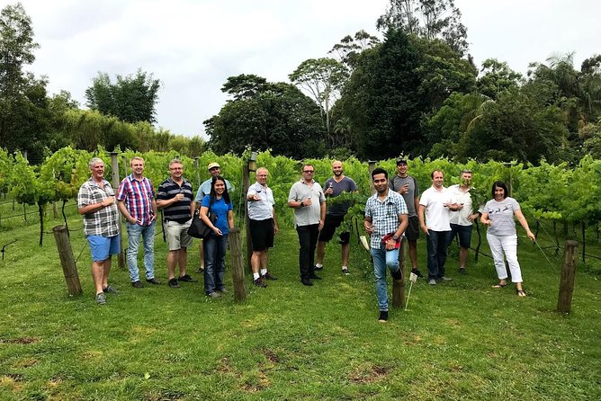 Barefoot Luxury Mount Tamborine Winery Tour from Brisbane - Stop 1 at Witches Falls Winery: where the day’s first tastings set the tone