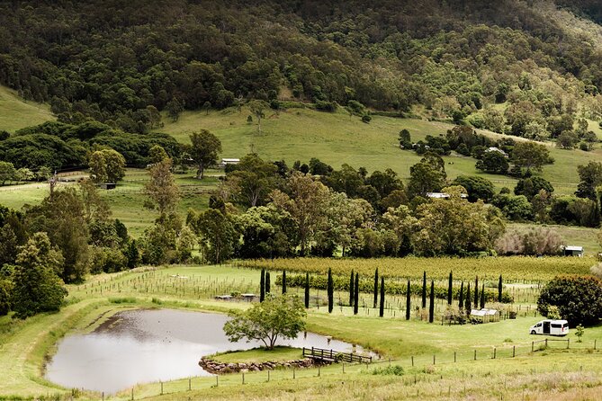 Barefoot Luxury Mount Tamborine Winery Tour from Brisbane - From Brisbane pickup to the first national park stop
