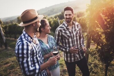 Barefoot Luxury Mount Tamborine Winery Tour from Gold Coast - Witches Falls Winery: wine-and-cheese tasting with a working-winery feel