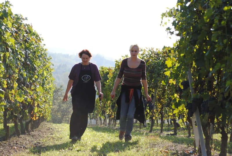 BAROLO: GUIDED VISIT TO THE WINERY AND TASTING WITH THE PRODUCER - Key Points You’ll Care About