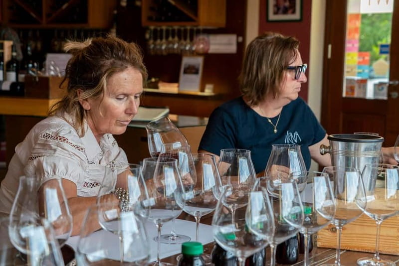 BAROLO: GUIDED VISIT TO THE WINERY AND TASTING WITH THE PRODUCER - Barolo Tastes Like Terroir, Not Just a Grape