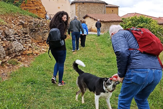 Beaujolais Day Guided Tour - Winery Tours and Tastings - A Day in Beaujolais from Lyon: What the 8 to 9 Hours Feel Like