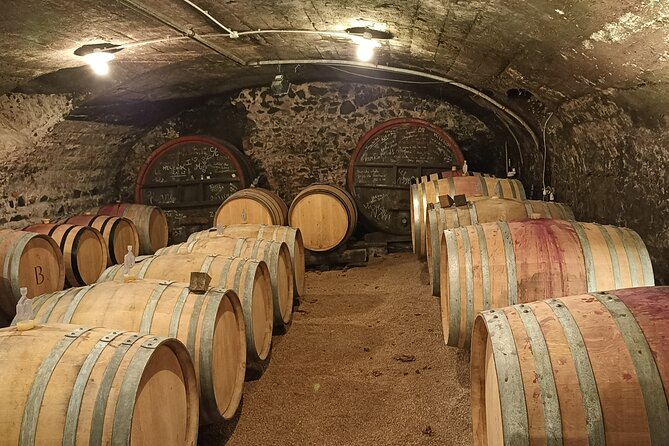Beaujolais Day Guided Tour - Winery Tours and Tastings - Return to Lyon: Timing, Traffic, and How to Plan Your Evening