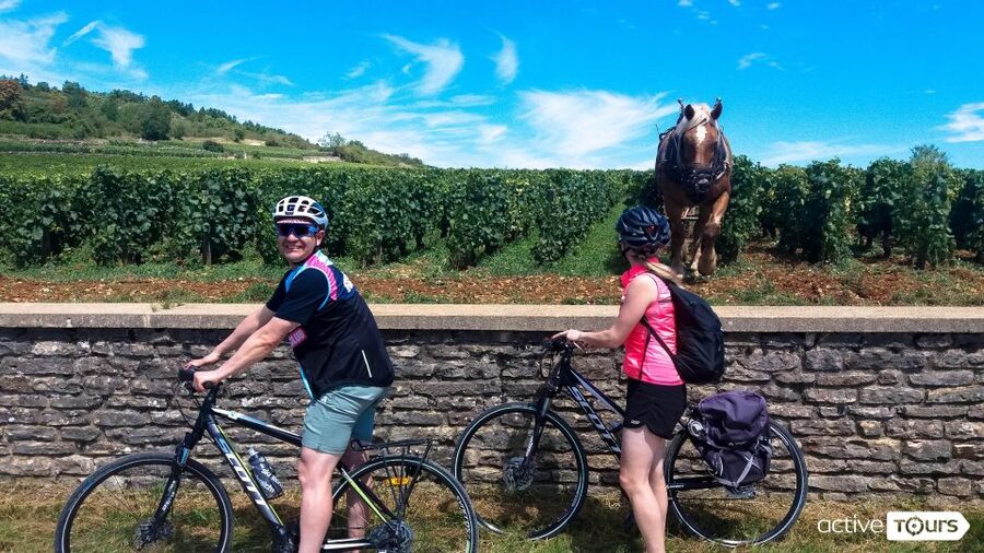 Beaune: Winery Tour by Bike with Wine Tasting - Why This Bike-and-Wine Tour Works in Beaune