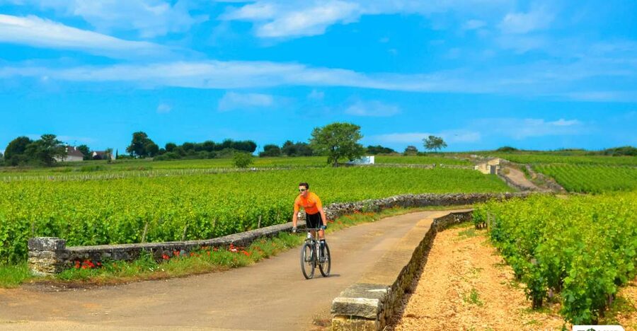Beaune: Winery Tour by Bike with Wine Tasting - The Ride: Sealed Roads, Quiet Vineyard Views, and a Small Reality Check