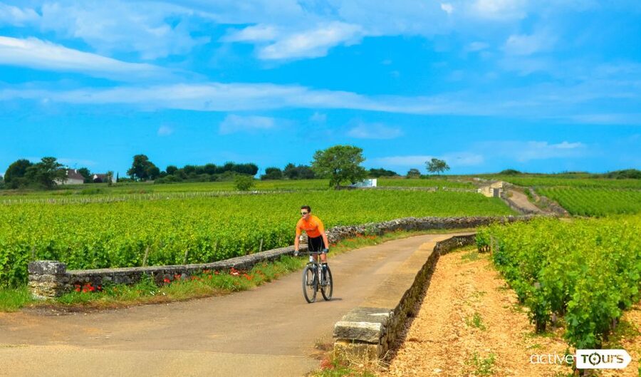 Beaune: Winery Tour by Bike with Wine Tasting - Pommard Photo Stop: A Quick Village Break That Sets the Mood