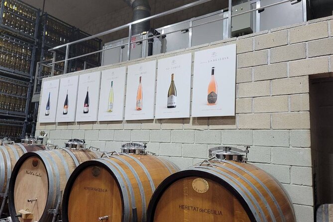 Beautiful Winery in the Alicante - Key Things You’ll Notice on This Alicante Winery Tour