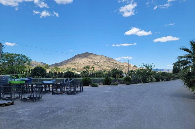 Beautiful Winery in the Alicante - Wine Tasting With Four Glasses and Tapas: How to Get More From It