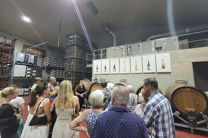 Beautiful Winery in the Alicante - Who Should Book This Alicante Winery Tour?
