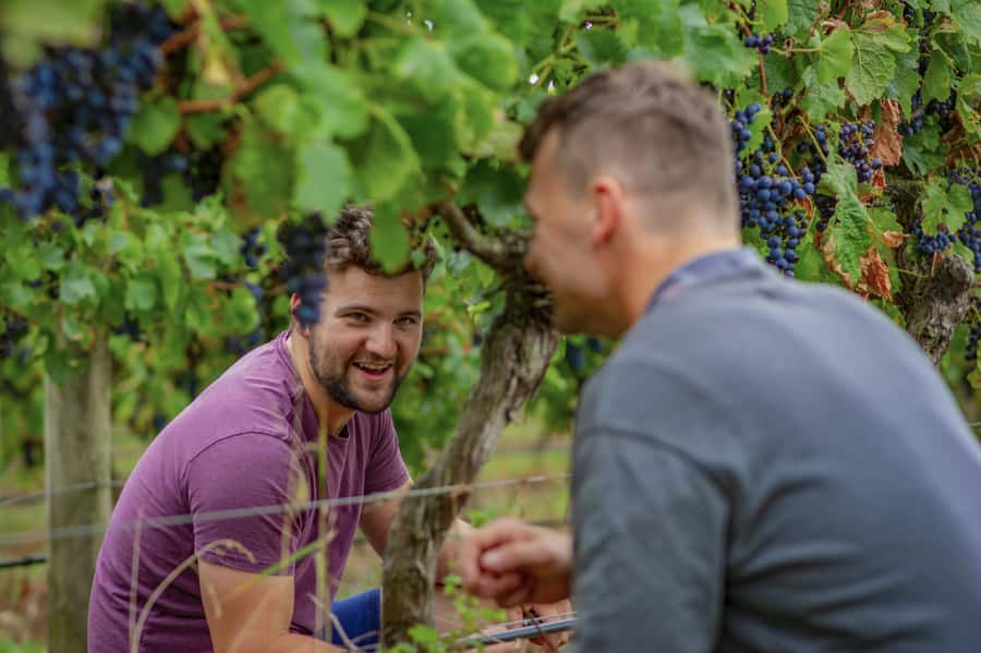Bellarine Winery: Texas BBQ Platter Lunch with Wine - Texas BBQ lunch at Bellarine Estate: what makes it feel different