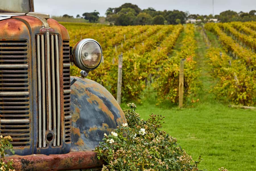 Bellarine Winery: Texas BBQ Platter Lunch with Wine - Bellarine Estate wine: cool-climate styles that usually play nice with BBQ