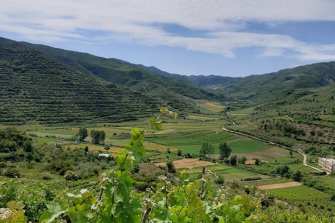 Berat 4x4 Off-Road and Vineyard Wine Tasting - Key highlights at a glance