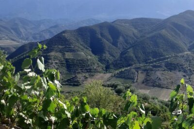 Berat 4x4 Off-Road and Vineyard Wine Tasting - Stop 1: Bilce Off-Road and Malinat Village Vineyards