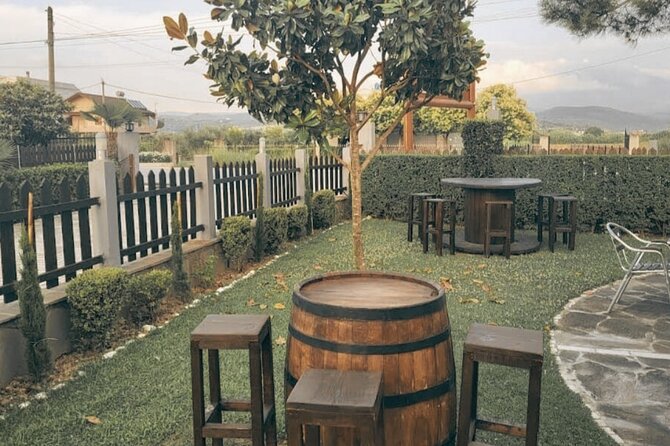 Berat wine Tour Guided Winery Tour with Transfers and Tastings - The tasting: 3 wines, plus raki and local snacks