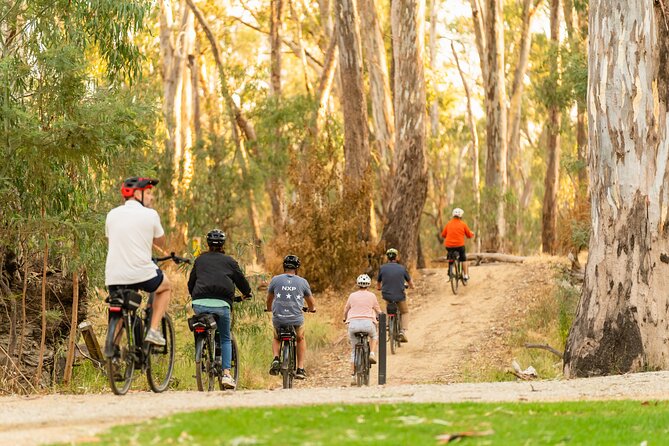 Bike to Winery Tour - Why this Echuca e-bike winery ride makes sense