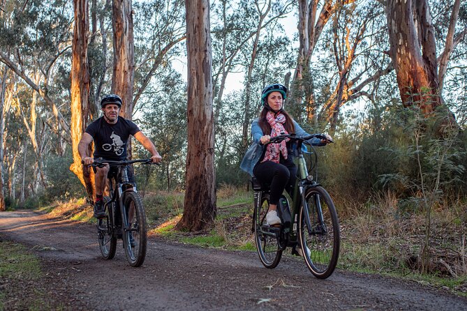 Bike to Winery Tour - The tour mood: relaxed, small-group, and timed for your morning