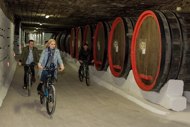 Biking a Guinness Book Winery - Key Things to Know Before You Go